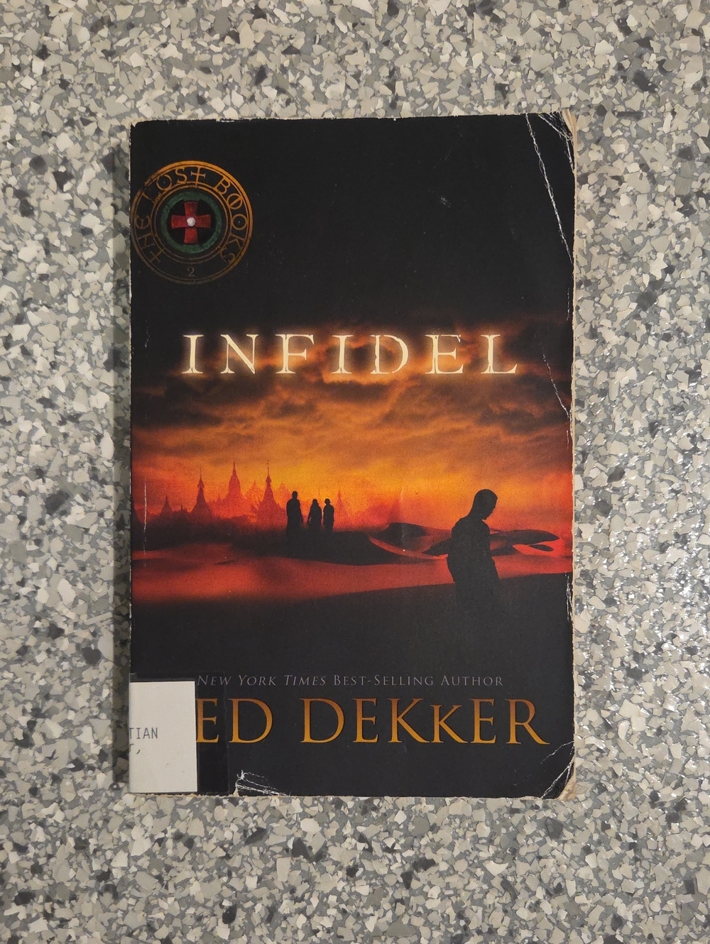 Ted Dekker Infidel Book